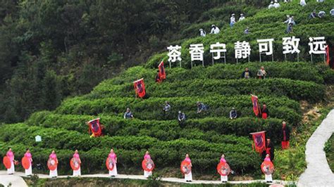 重慶都有什麼茶，且說茶與地方文化之關係